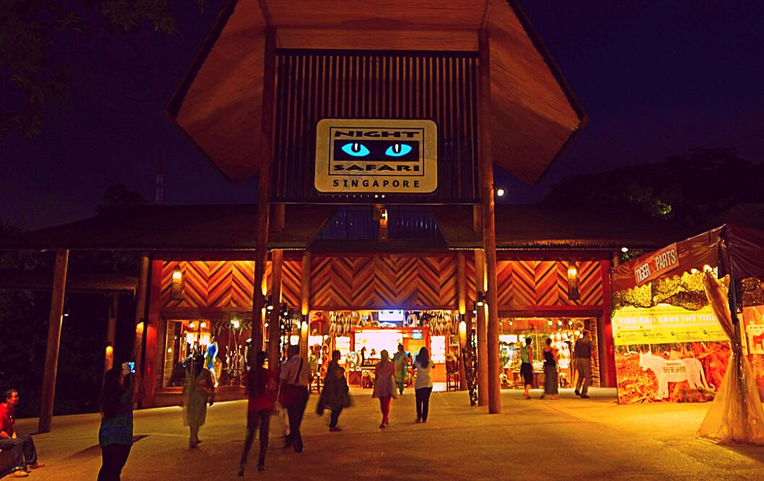 Things to know about Night Safari Singapore